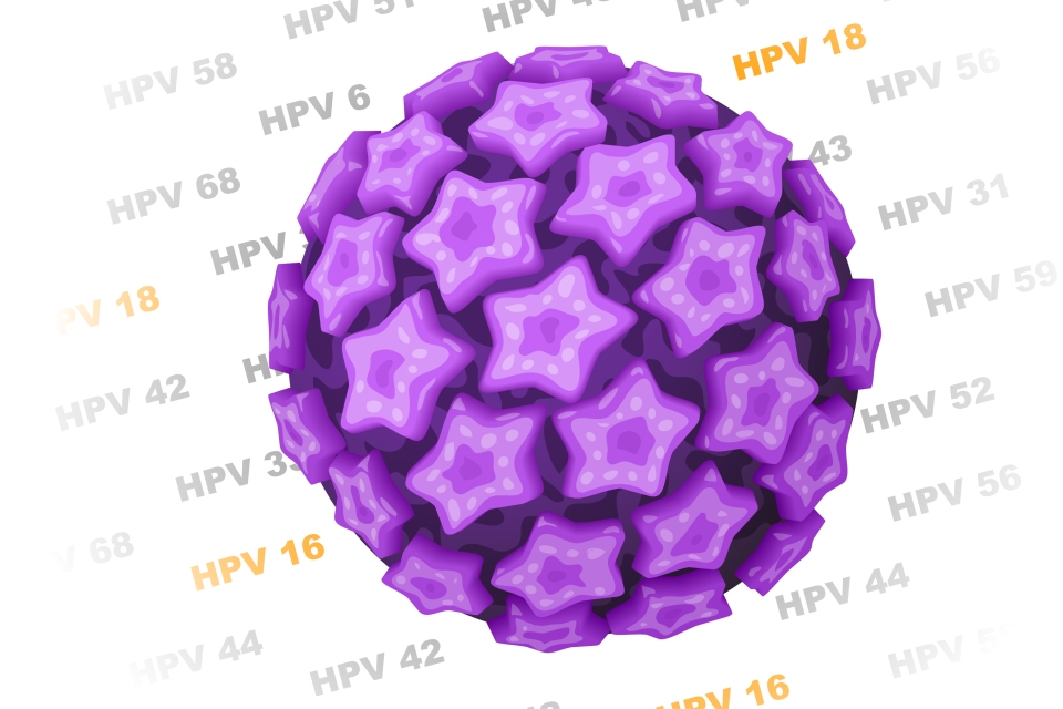 hpv virusu